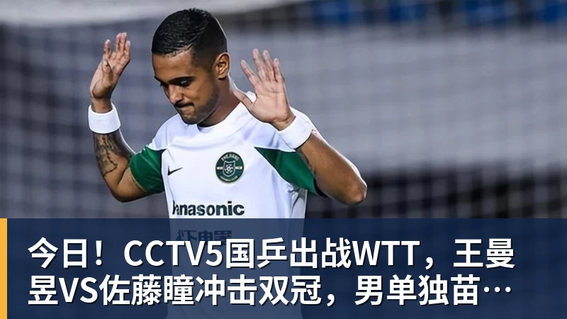 今日！CCTV5国乒出战WTT，王曼昱VS佐藤瞳冲击双冠，男单独苗周启豪PK松岛辉空